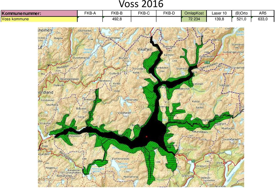 Laser 10 (B)Orto AR5 Voss