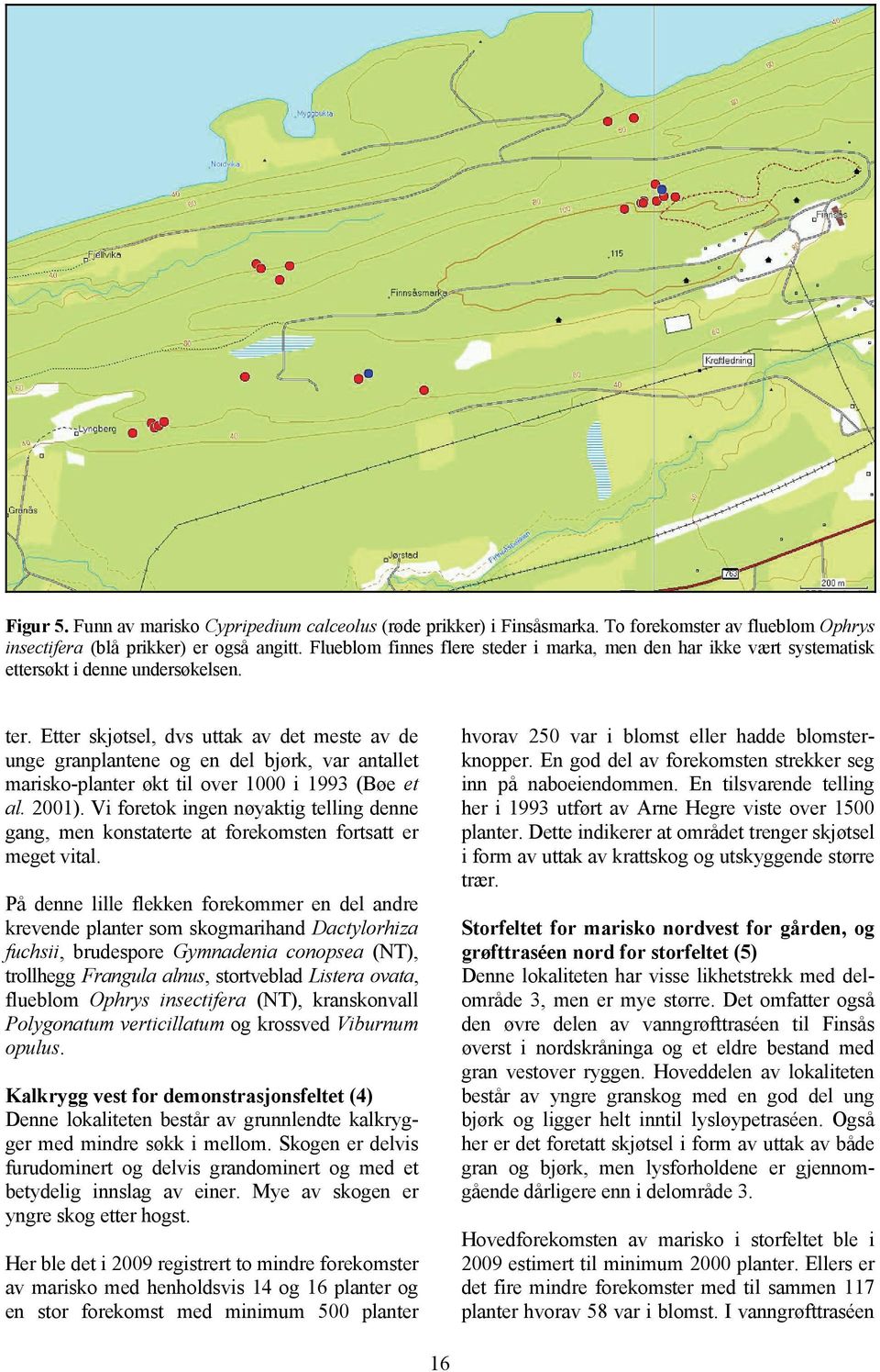 Etter skjøtsel, dvs uttak av det meste av de unge granplantene og en del bjørk, var antallet marisko-planter økt til over 1000 i 1993 (Bøe et al. 2001).