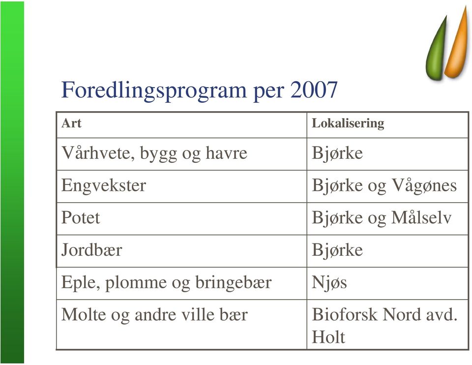 Molte og andre ville bær Lokalisering Bjørke Bjørke og