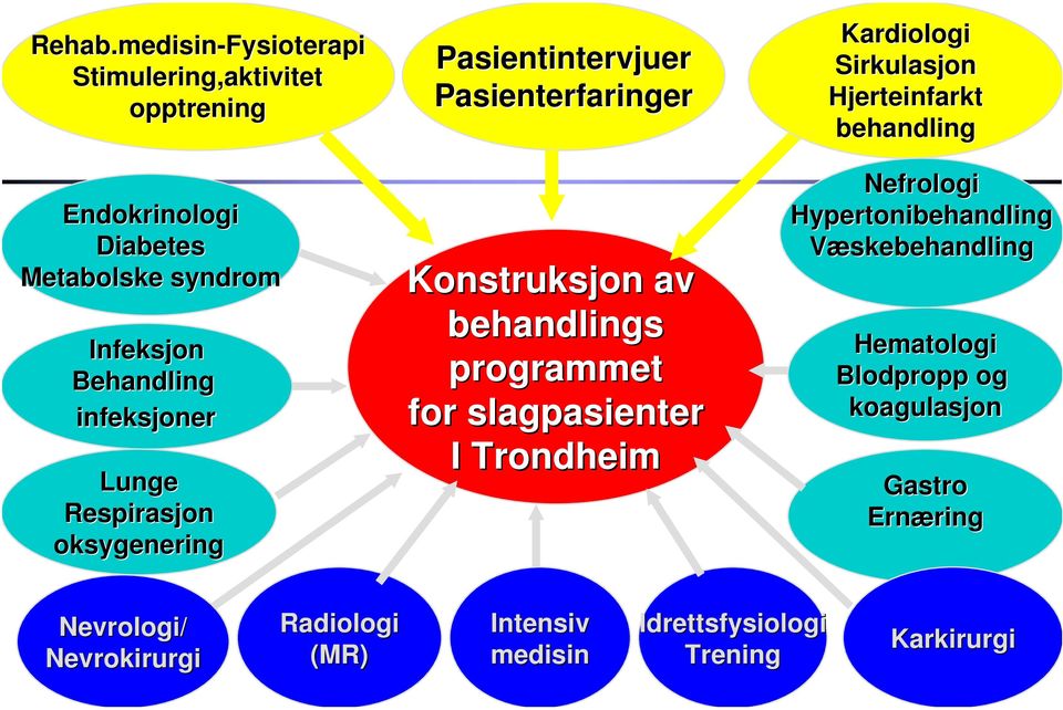 Lunge Respirasjon oksygenering Pasientintervjuer Pasienterfaringer Konstruksjon av behandlings programmet for slagpasienter I