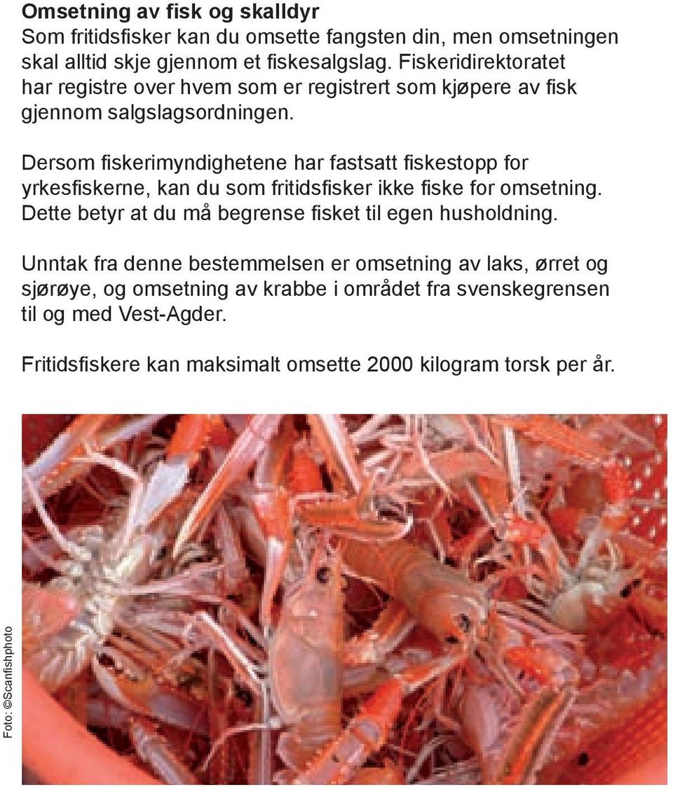 Dersom fiskerimyndighetene har fastsatt fiskestopp for yrkesfiskerne, kan du som fritidsfisker ikke fiske for omsetning.