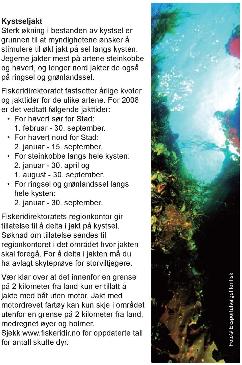 For 2008 er det vedtatt følgende jakttider: For havert sør for Stad: 1. februar - 30. september. For havert nord for Stad: 2. januar - 15. september. For steinkobbe langs hele kysten: 2. januar - 30.