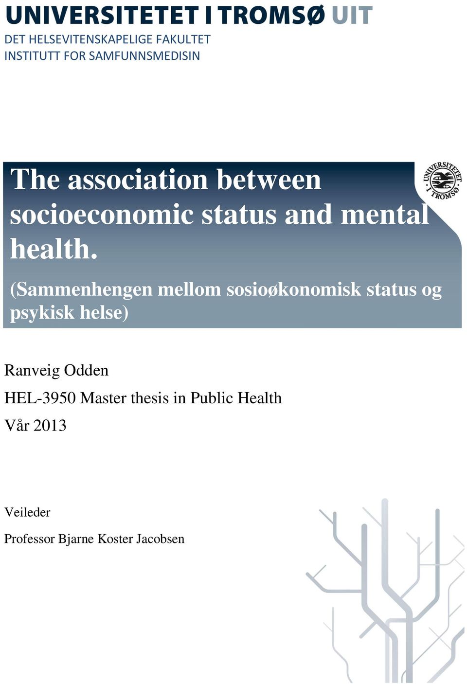 (Sammenhengen mellom sosioøkonomisk status og psykisk helse) Ranveig