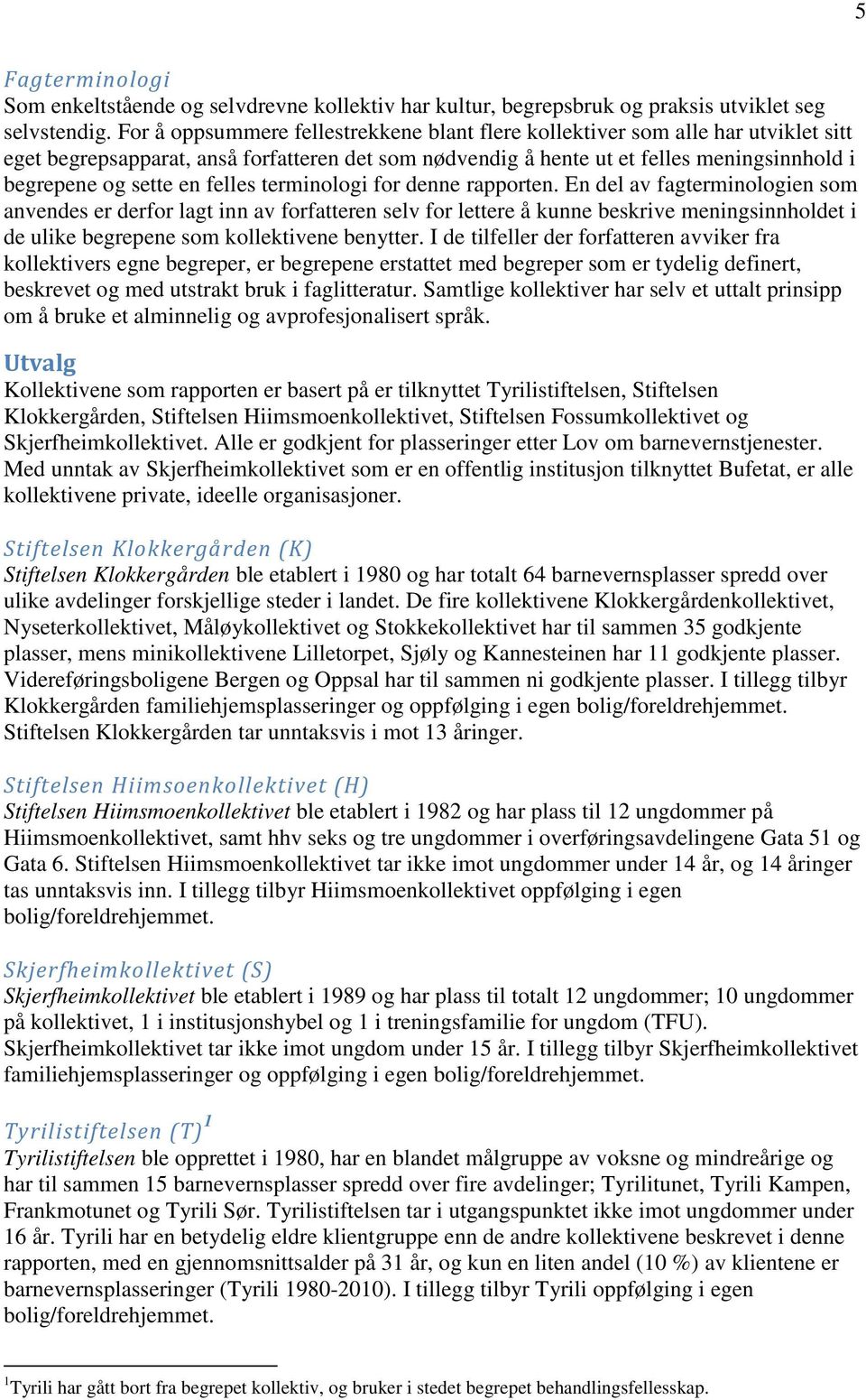 felles terminologi for denne rapporten.