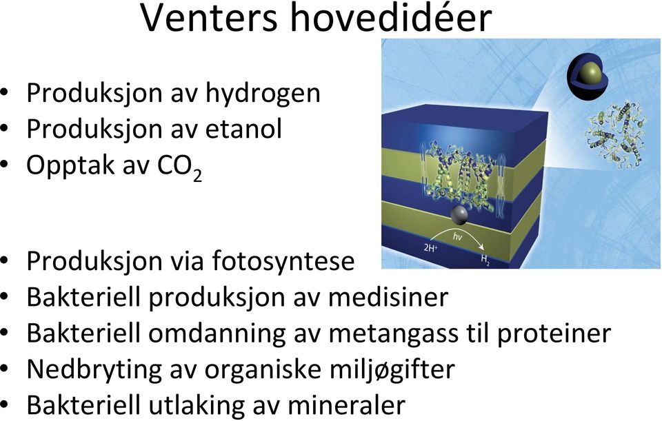 av medisiner Bakteriell omdanning av metangass til proteiner