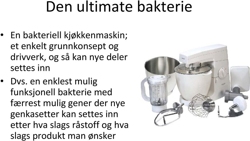 en enklest mulig funksjonell bakterie med færrest mulig gener der