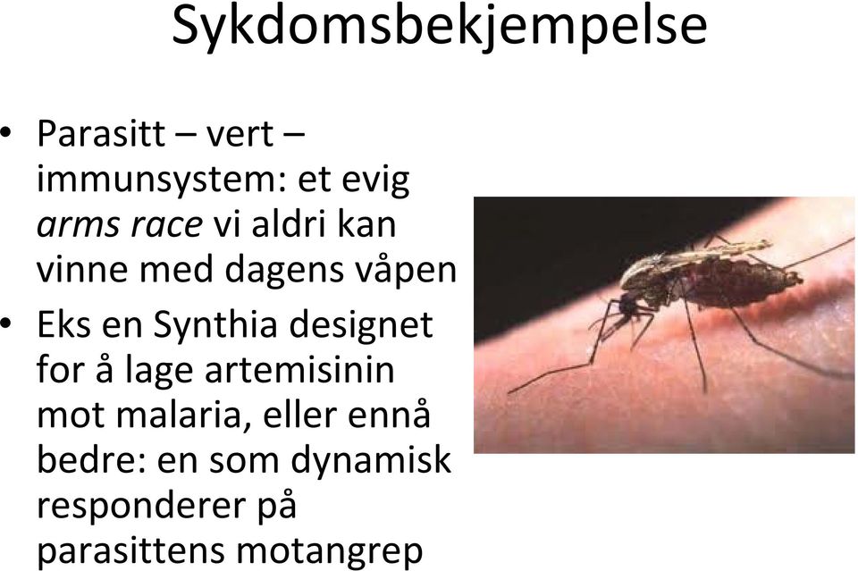 Synthia designet for ålage artemisinin mot malaria, eller