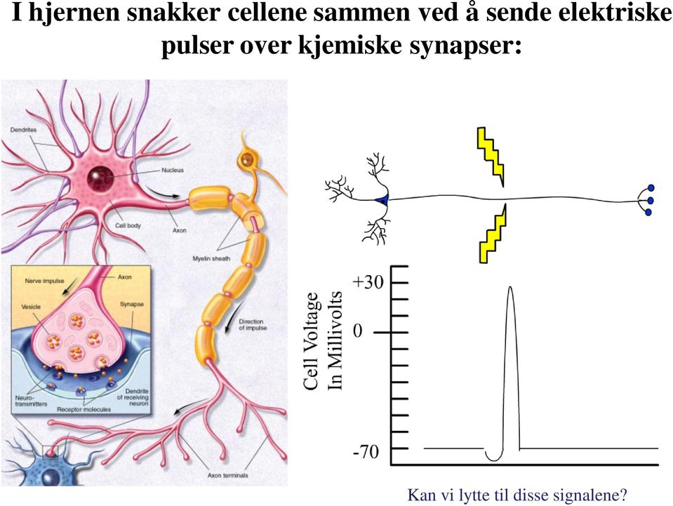 pulser over kjemiske