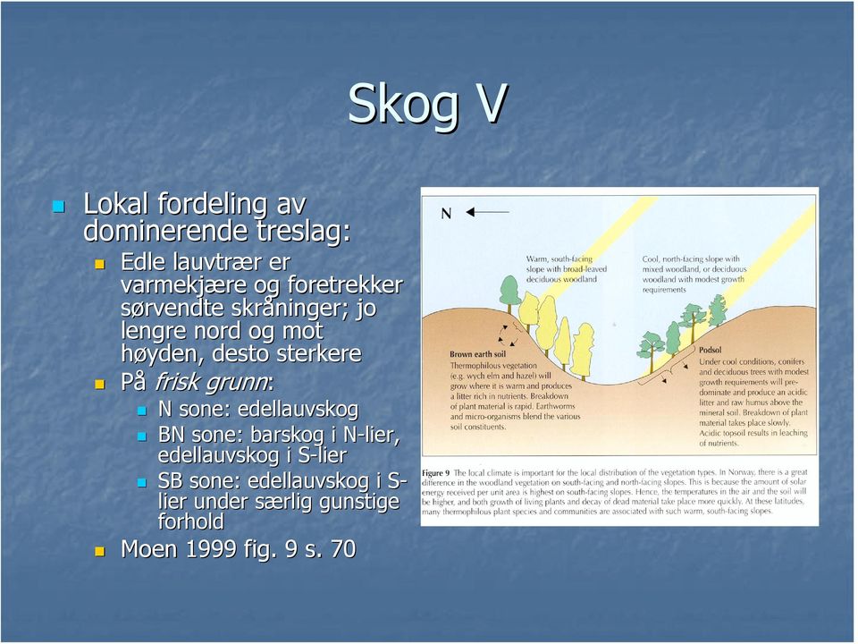 frisk grunn: N sone: edellauvskog BN sone: barskog i N-lier, N edellauvskog i