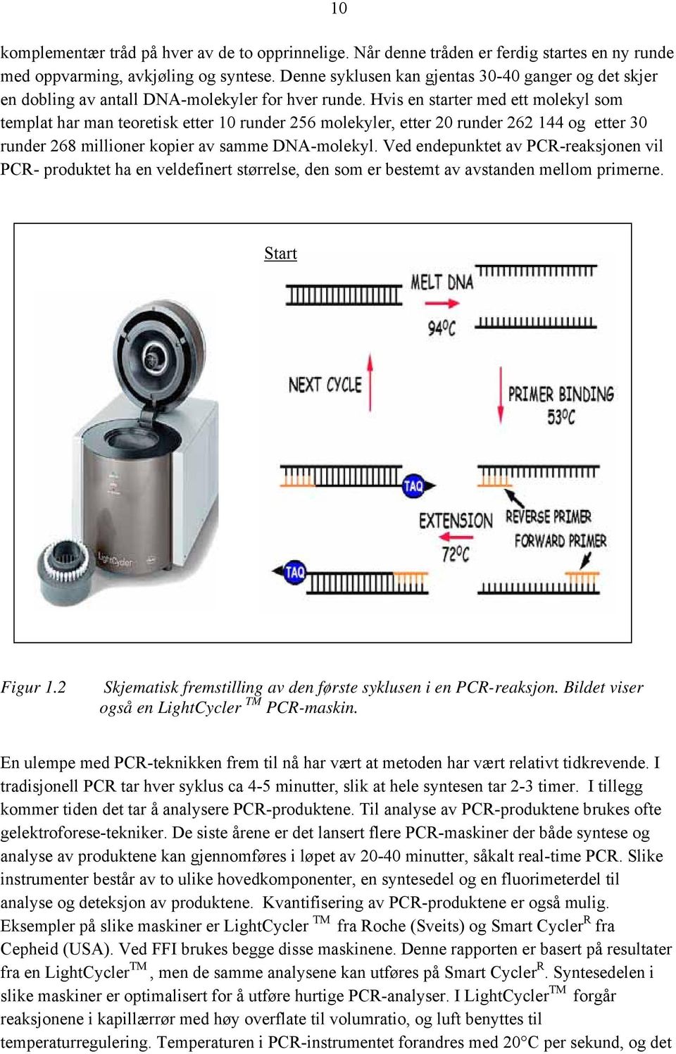 Hvis en starter med ett molekyl som templat har man teoretisk etter 10 runder 256 molekyler, etter 20 runder 262 144 og etter 30 runder 268 millioner kopier av samme DNA-molekyl.