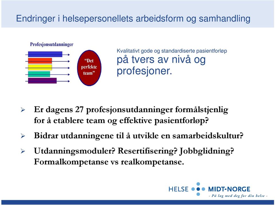 Er dagens 27 profesjonsutdanninger formålstjenlig for å etablere team og effektive pasientforløp?