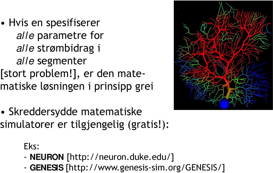 ], er den mate- matiske løsningen i prinsipp grei Skreddersydde matematiske