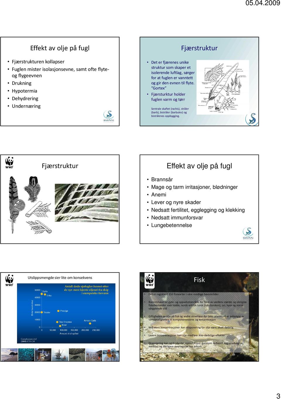 Gortex Fjærsturkturholder fuglen varm og tørr Sentrale skaftet(rachis), stråler (barb), bistråler (barbules) og bistrålenes oppbygging.