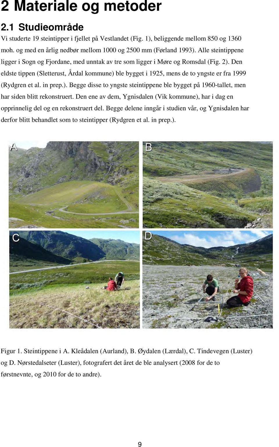 Den eldste tippen (Sletterust, Årdal kommune) ble bygget i 1925, mens de to yngste er fra 1999 (Rydgren et al. in prep.). Begge disse to yngste steintippene ble bygget på 1960-tallet, men har siden blitt rekonstruert.