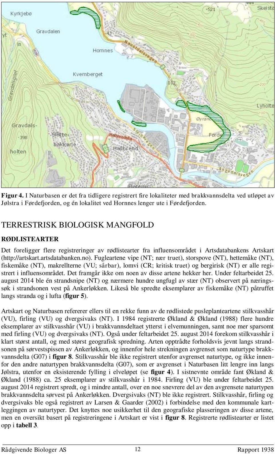 Fugleartene vipe (NT; nær truet), storspove (NT), hettemåke (NT), fiskemåke (NT), makrellterne (VU; sårbar), lomvi (CR; kritisk truet) og bergirisk (NT) er alle registrert i influensområdet.