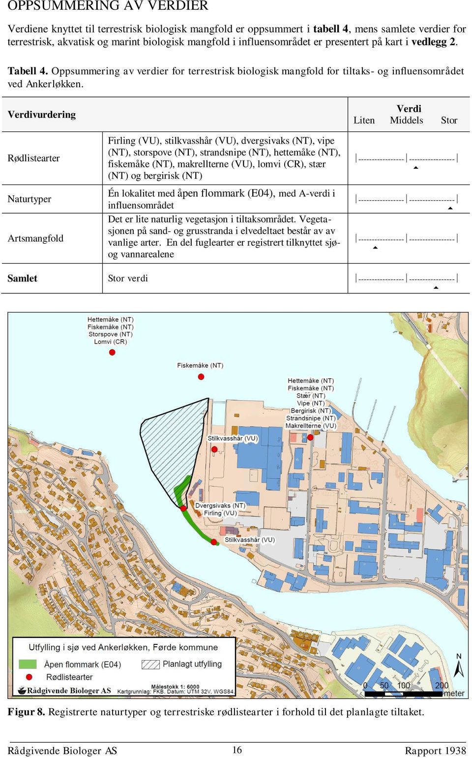 Verdivurdering Rødlistearter Naturtyper Artsmangfold Firling (VU), stilkvasshår (VU), dvergsivaks (NT), vipe (NT), storspove (NT), strandsnipe (NT), hettemåke (NT), fiskemåke (NT), makrellterne (VU),