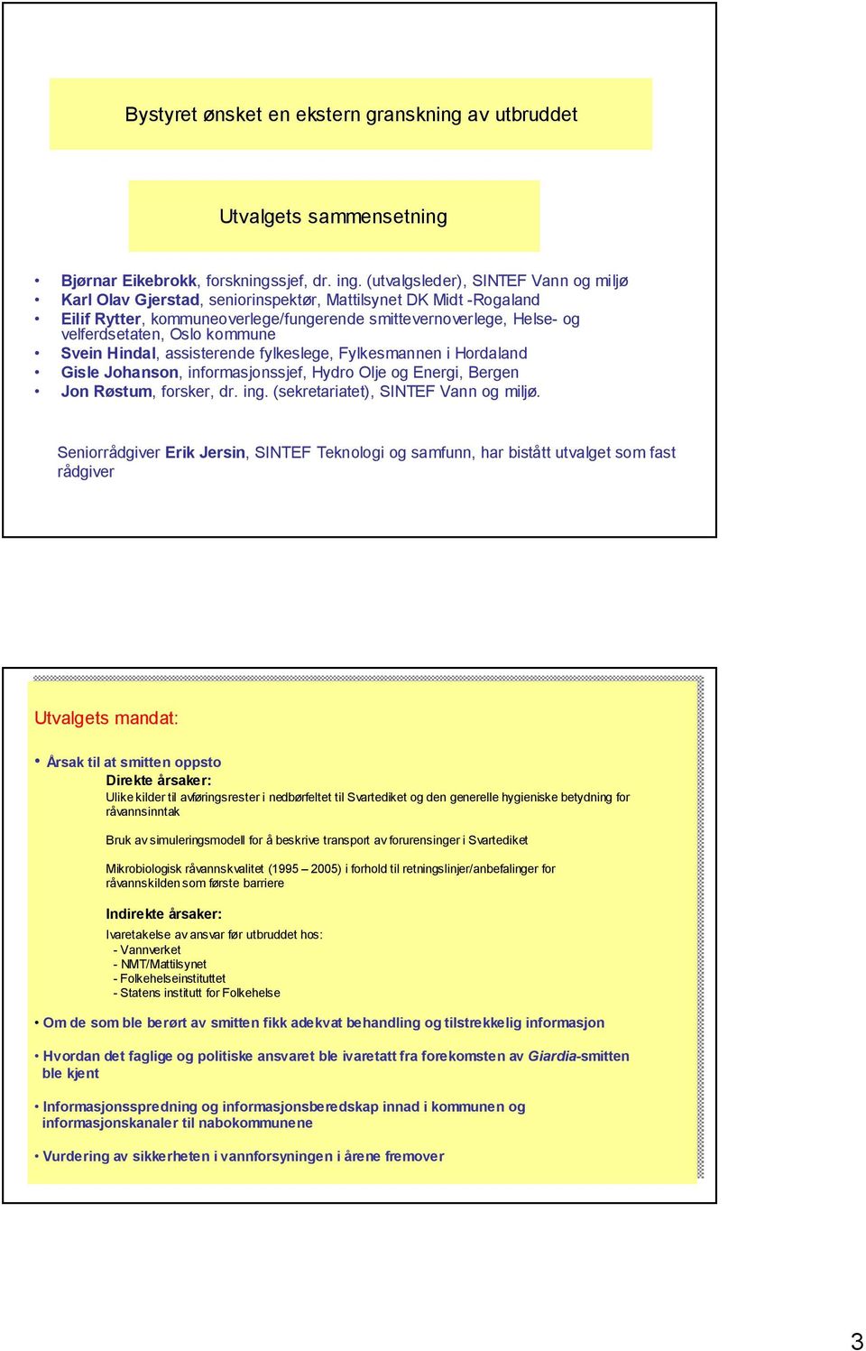 kommune Svein Hindal, assisterende fylkeslege, Fylkesmannen i Hordaland Gisle Johanson, informasjonssjef, Hydro Olje og Energi, Bergen Jon Røstum, forsker, dr. ing.