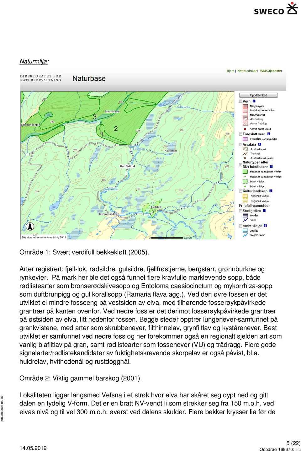 flava agg.). Ved den øvre fossen er det utviklet ei mindre fosseeng på vestsiden av elva, med tilhørende fosserøykpåvirkede grantrær på kanten ovenfor.