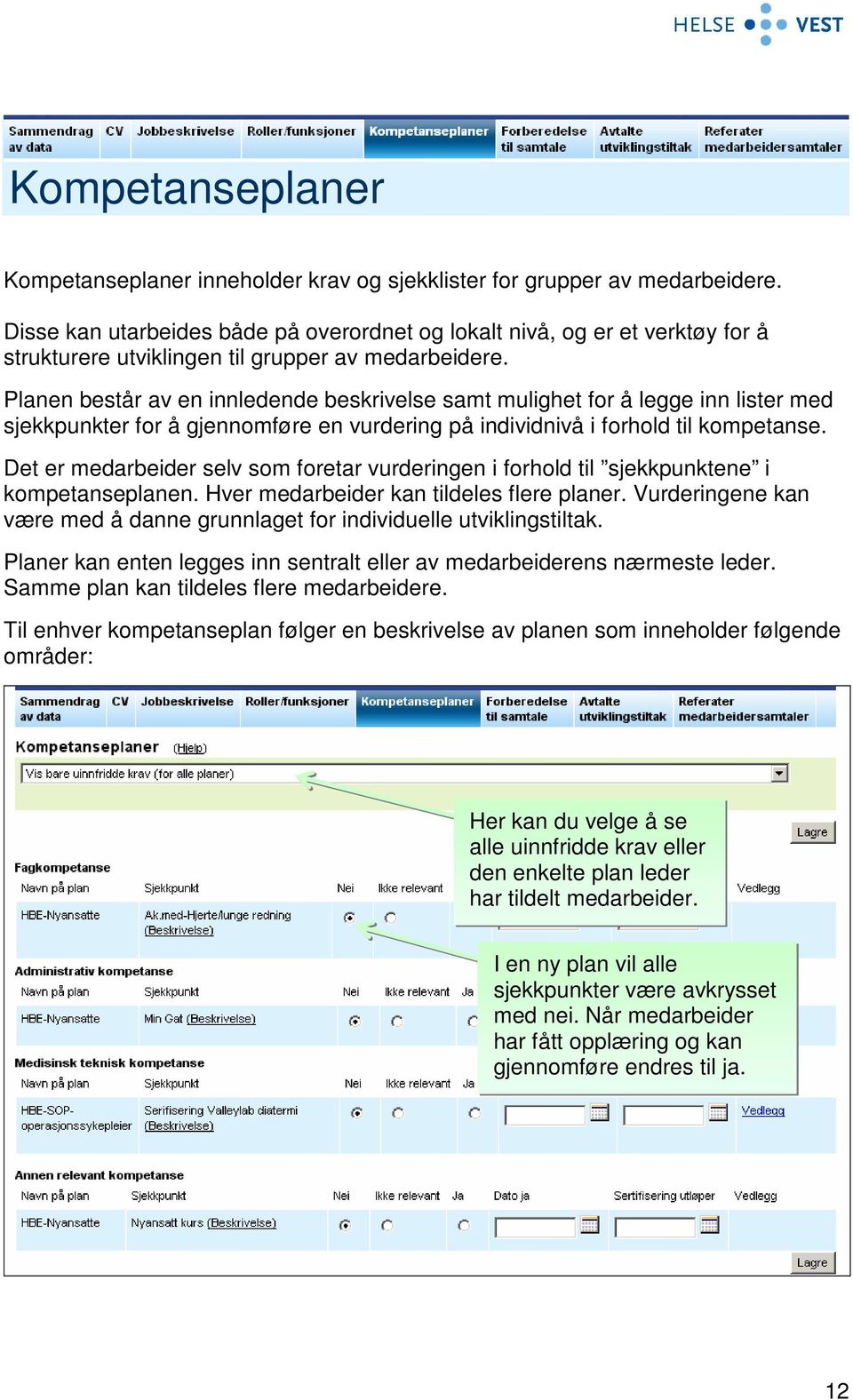 Planen består av en innledende beskrivelse samt mulighet for å legge inn lister med sjekkpunkter for å gjennomføre en vurdering på individnivå i forhold til kompetanse.