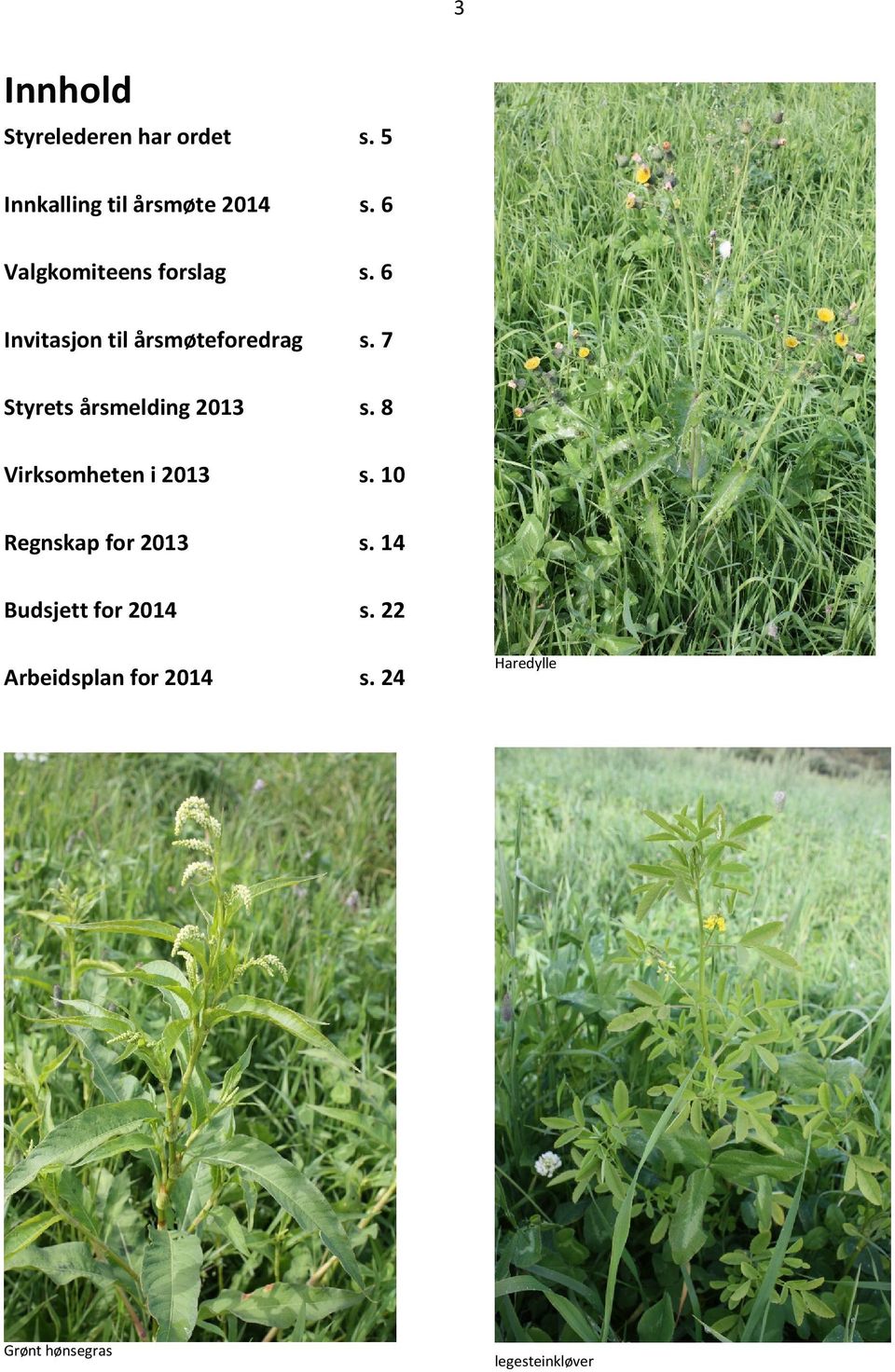 7 Styrets årsmelding 2013 s. 8 Virksomheten i 2013 s. 10 Regnskap for 2013 s.