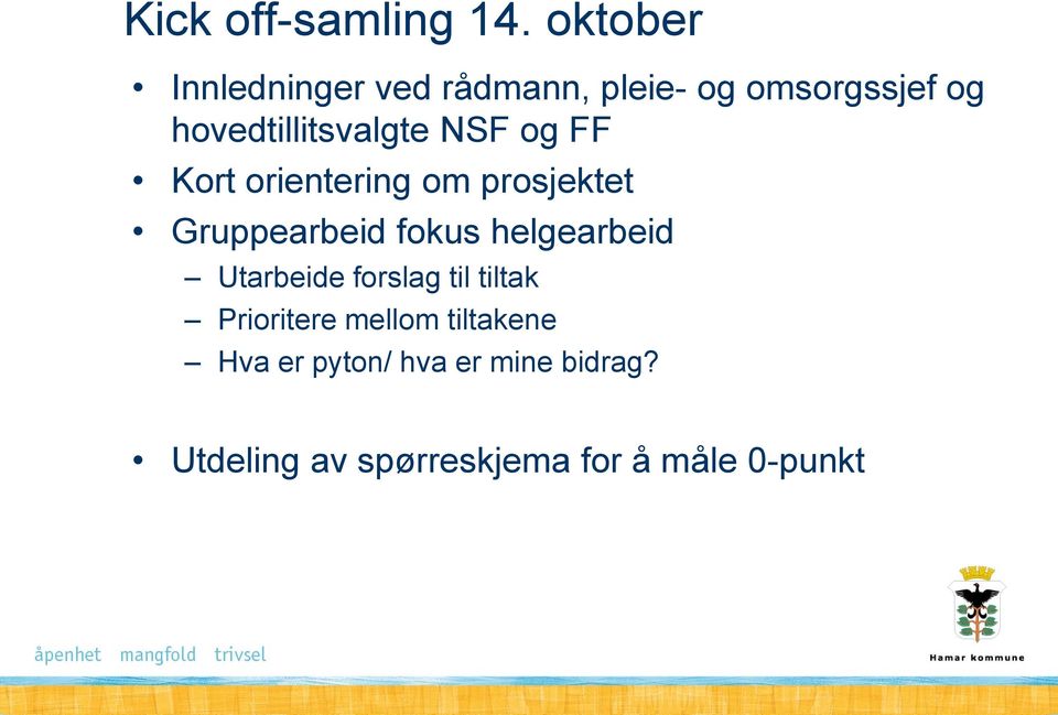 hovedtillitsvalgte NSF og FF Kort orientering om prosjektet Gruppearbeid