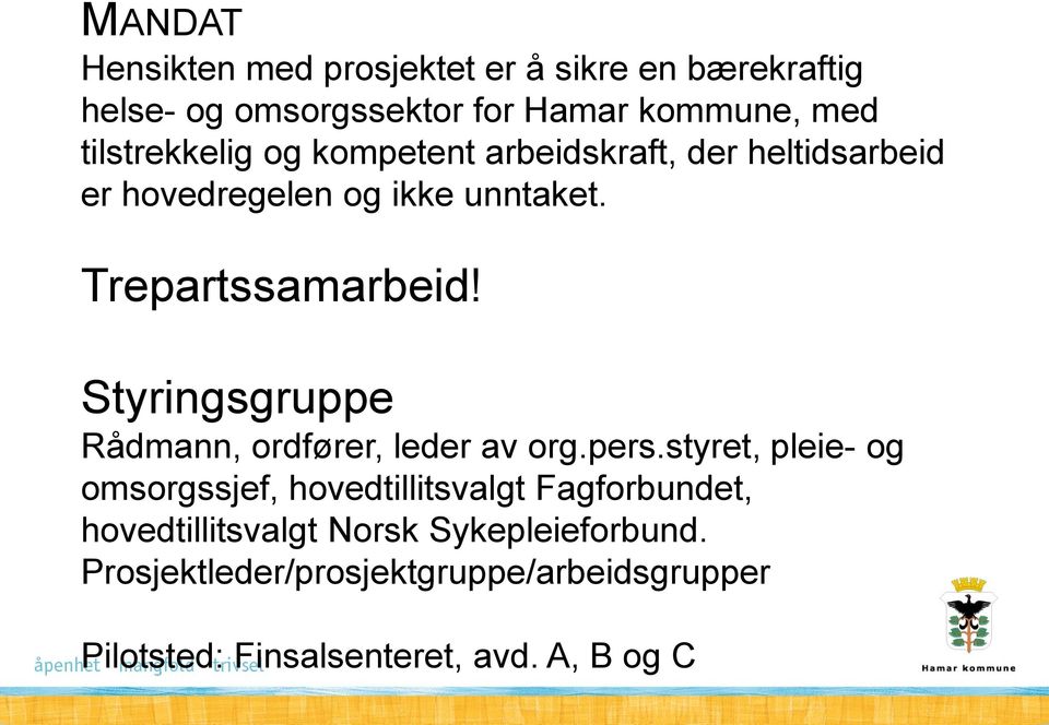 Styringsgruppe Rådmann, ordfører, leder av org.pers.