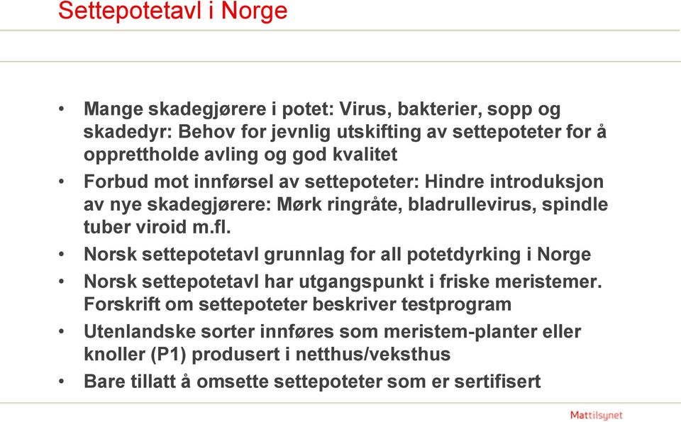 Norsk settepotetavl grunnlag for all potetdyrking i Norge Norsk settepotetavl har utgangspunkt i friske meristemer.