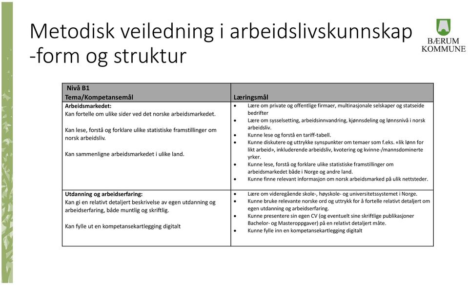 Læringsmål Lære om private og offentlige firmaer, multinasjonale selskaper og statseide bedrifter Lære om sysselsetting, arbeidsinnvandring, kjønnsdeling og lønnsnivå i norsk arbeidsliv.