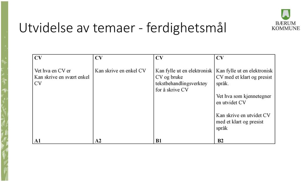 for å skrive CV Kan fylle ut en elektronisk CV med et klart og presist språk.