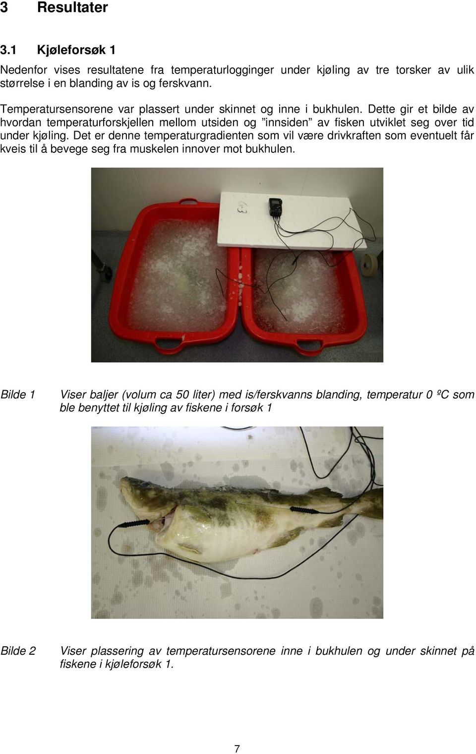 Dette gir et bilde av hvordan temperaturforskjellen mellom utsiden og innsiden av fisken utviklet seg over tid under kjøling.