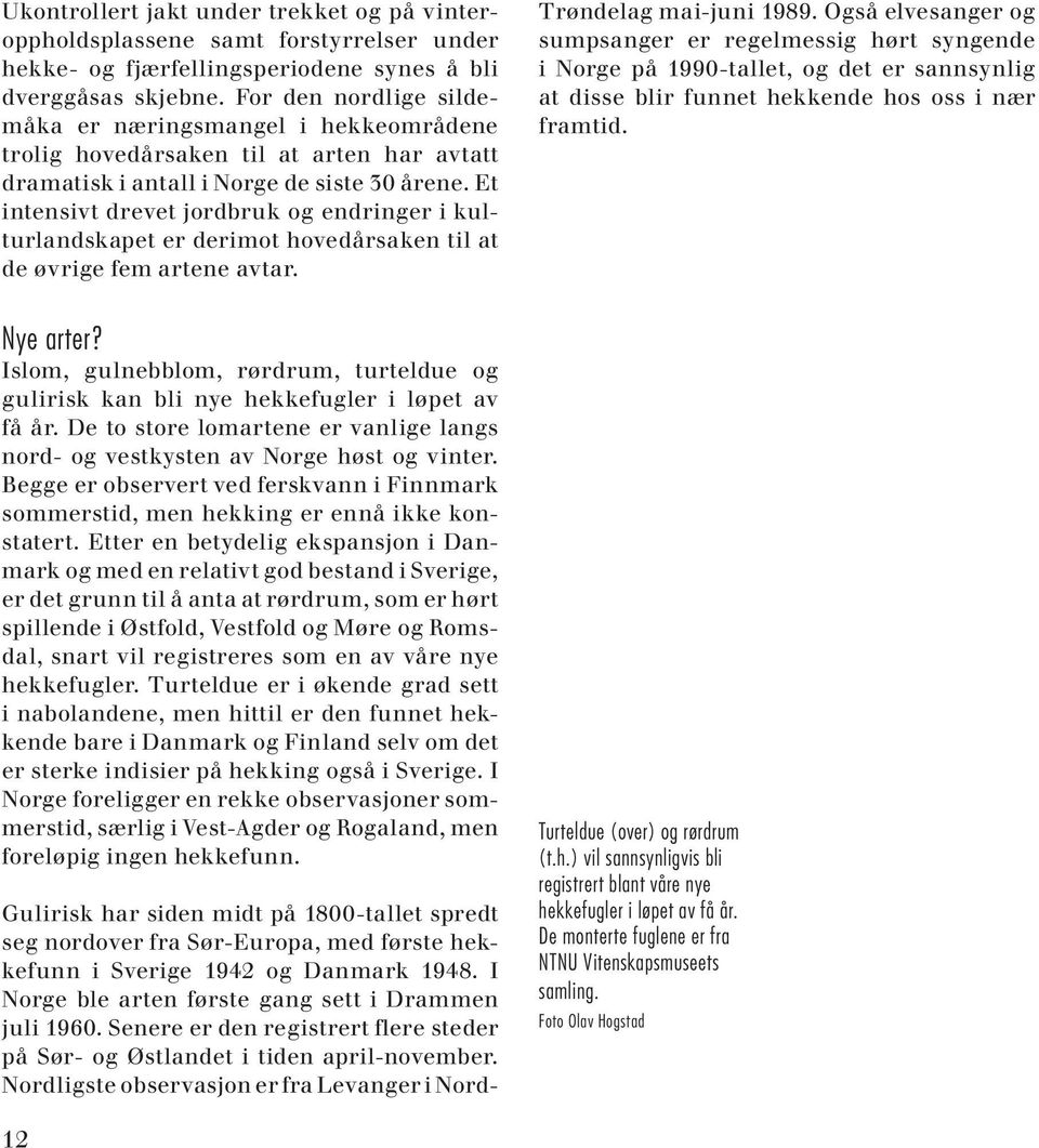 Et intensivt drevet jordbruk og endringer i kulturlandskapet er derimot hovedårsaken til at de øvrige fem artene avtar. Trøndelag mai-juni 1989.