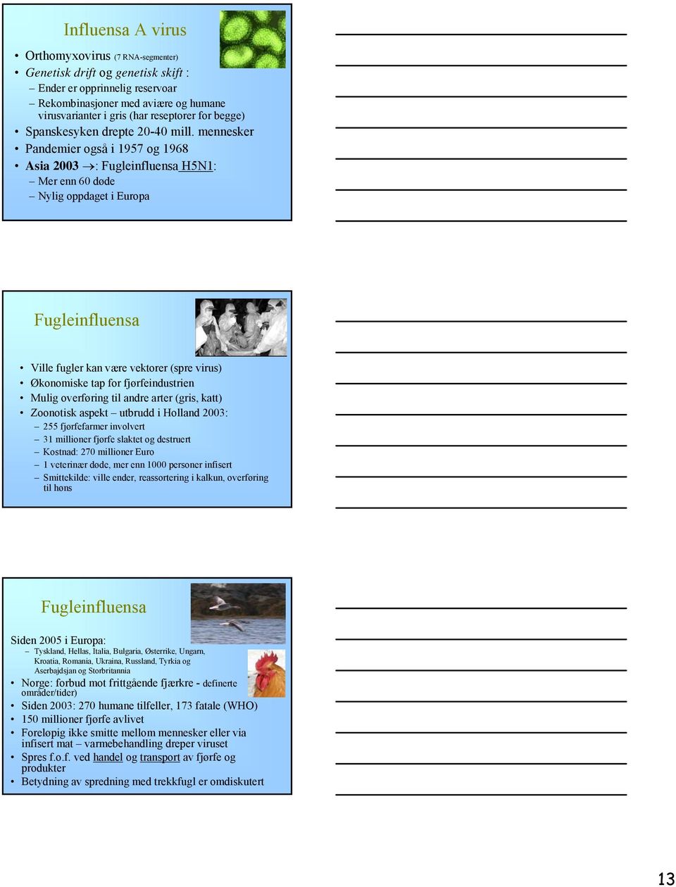 mennesker Pandemier også i 1957 og 1968 Asia 2003 : Fugleinfluensa H5N1: Mer enn 60 døde Nylig oppdaget i Europa Fugleinfluensa Ville fugler kan være vektorer (spre virus) Økonomiske tap for