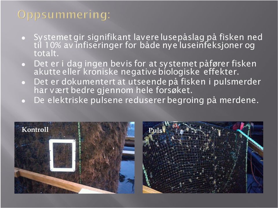 Det er i dag ingen bevis for at systemet påfører fisken akutte eller kroniske negative