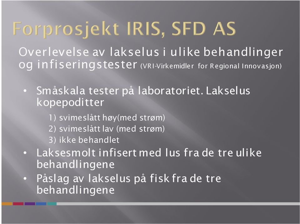 Lakselus kopepoditter 1) svimeslått høy(med strøm) 2) svimeslått lav (med strøm) 3) ikke