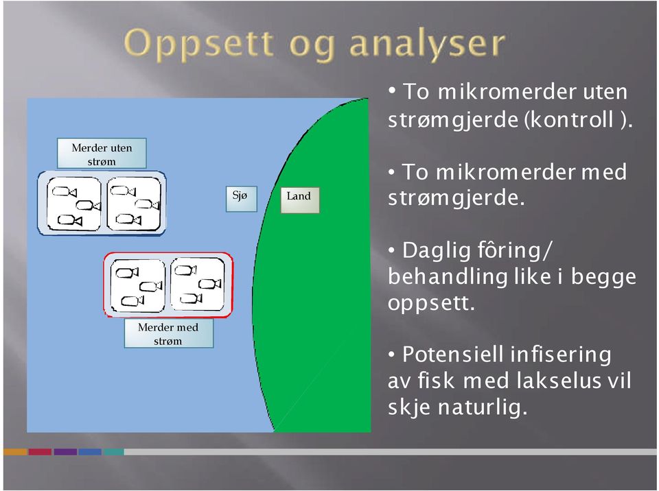 Merder med strøm Daglig fôring/ behandling like i begge