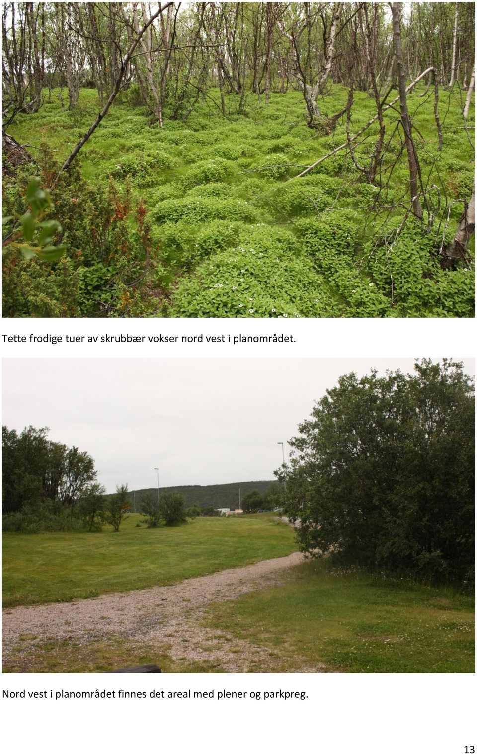 Nord vest i planområdet finnes