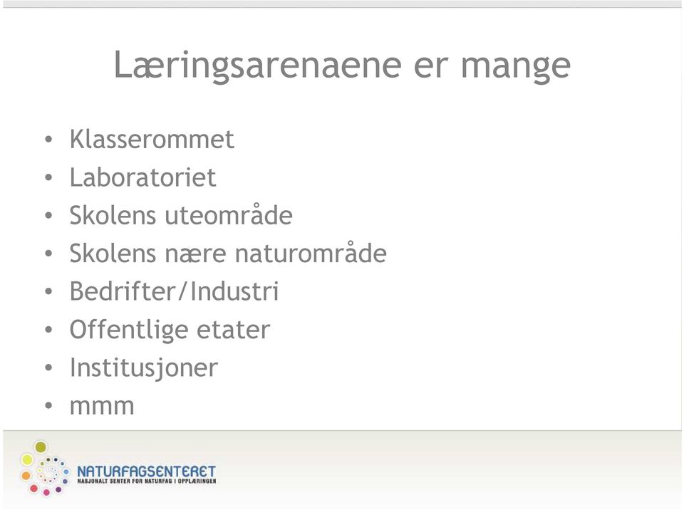 uteområde Skolens nære naturområde