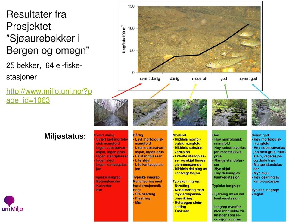 bekker, 64 el-fiskestasjoner