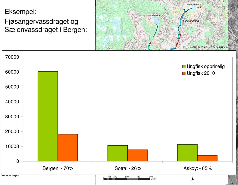 opprinelig Ungfisk 2010 60000 50000 40000