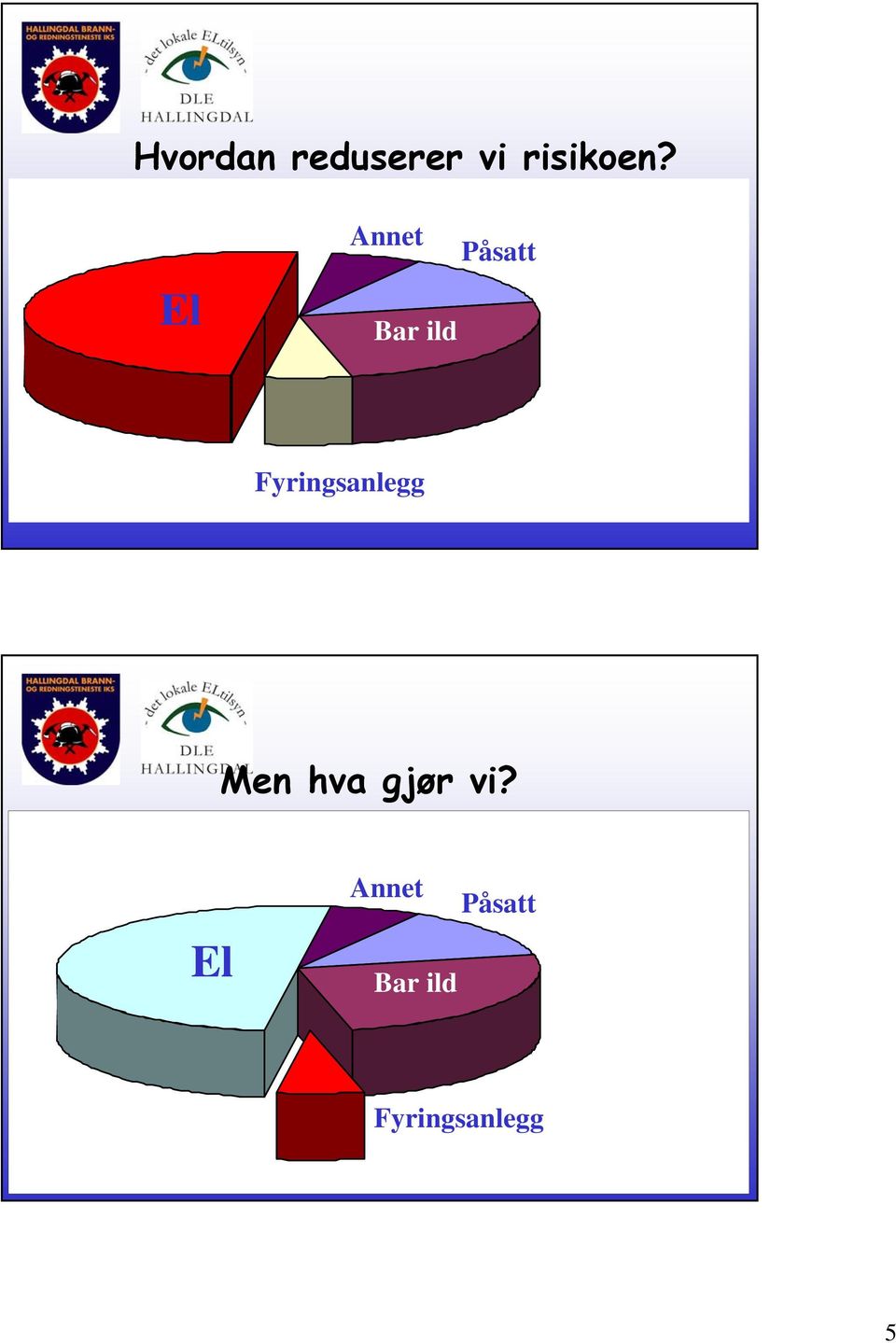 Fyringsanlegg Men hva gjør vi?