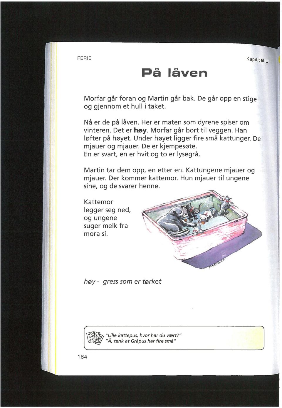 De mjauer og mjauer. De er kjempesote. En er svart, en er hvit og to er lysegrå. Martin tar dem opp, en etter en. Kattungene mjauer og mjauer.