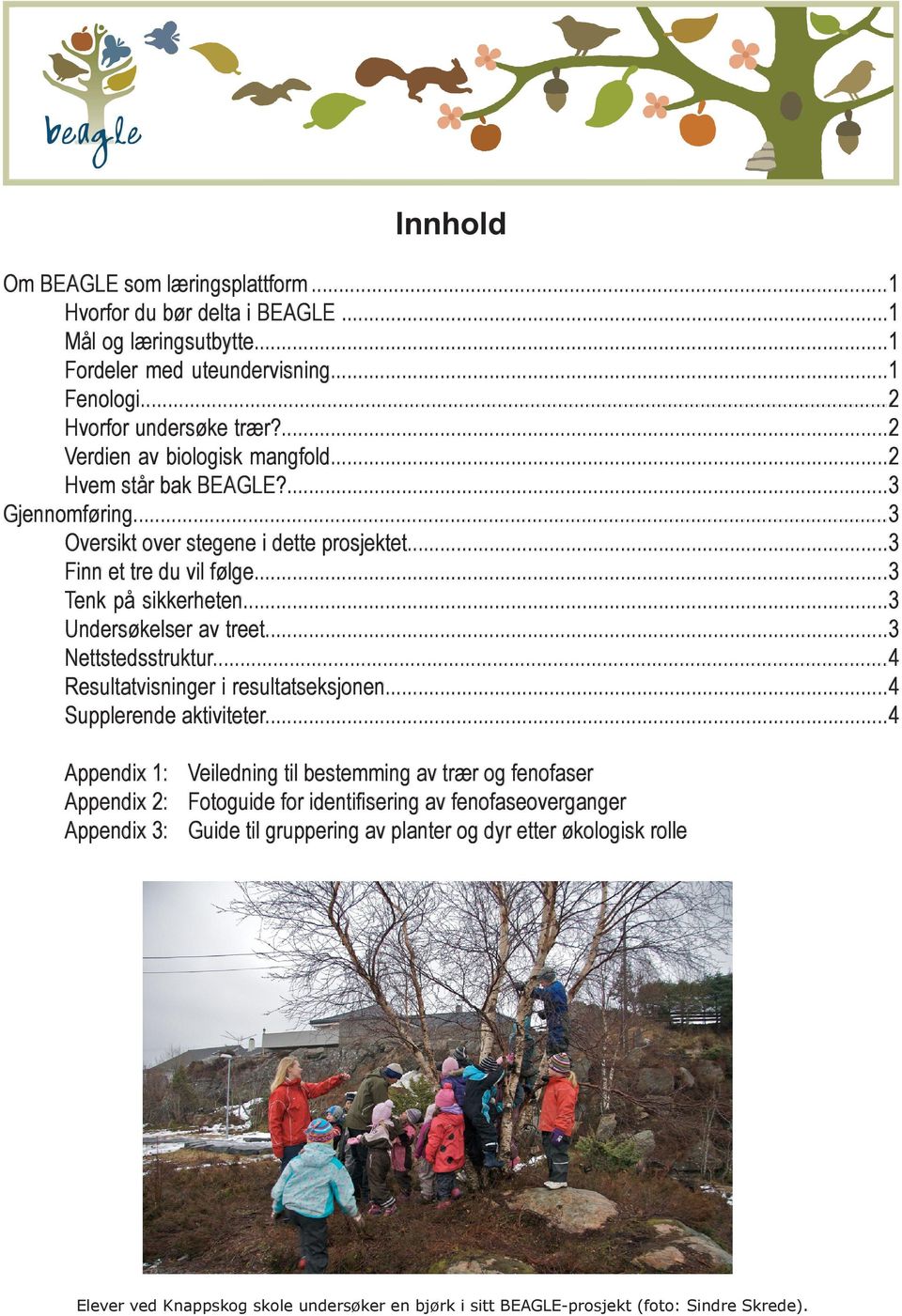 ..3 Undersøkelser av treet...3 Nettstedsstruktur...4 Resultatvisninger i resultatseksjonen...4 Supplerende aktiviteter.