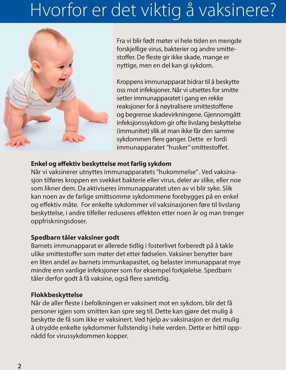 Når vi utsettes for smitte setter immunapparatet i gang en rekke reaksjoner for å nøytralisere smitte stoffene og begrense skadevirkningene.