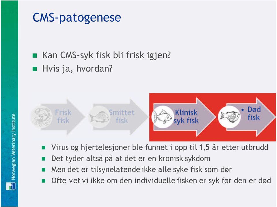 tyder altså på at det er en kronisk sykdom Men det er tilsynelatende ikke