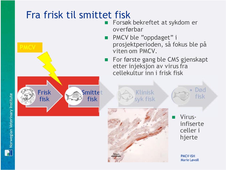 ble på viten om PMCV.