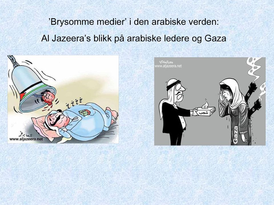 Al Jazeera s blikk