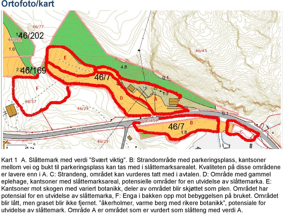 D: Område med gammel eplehage, kantsoner med slåttemarksareal, potensielle områder for en utvidelse av slåttemarka.