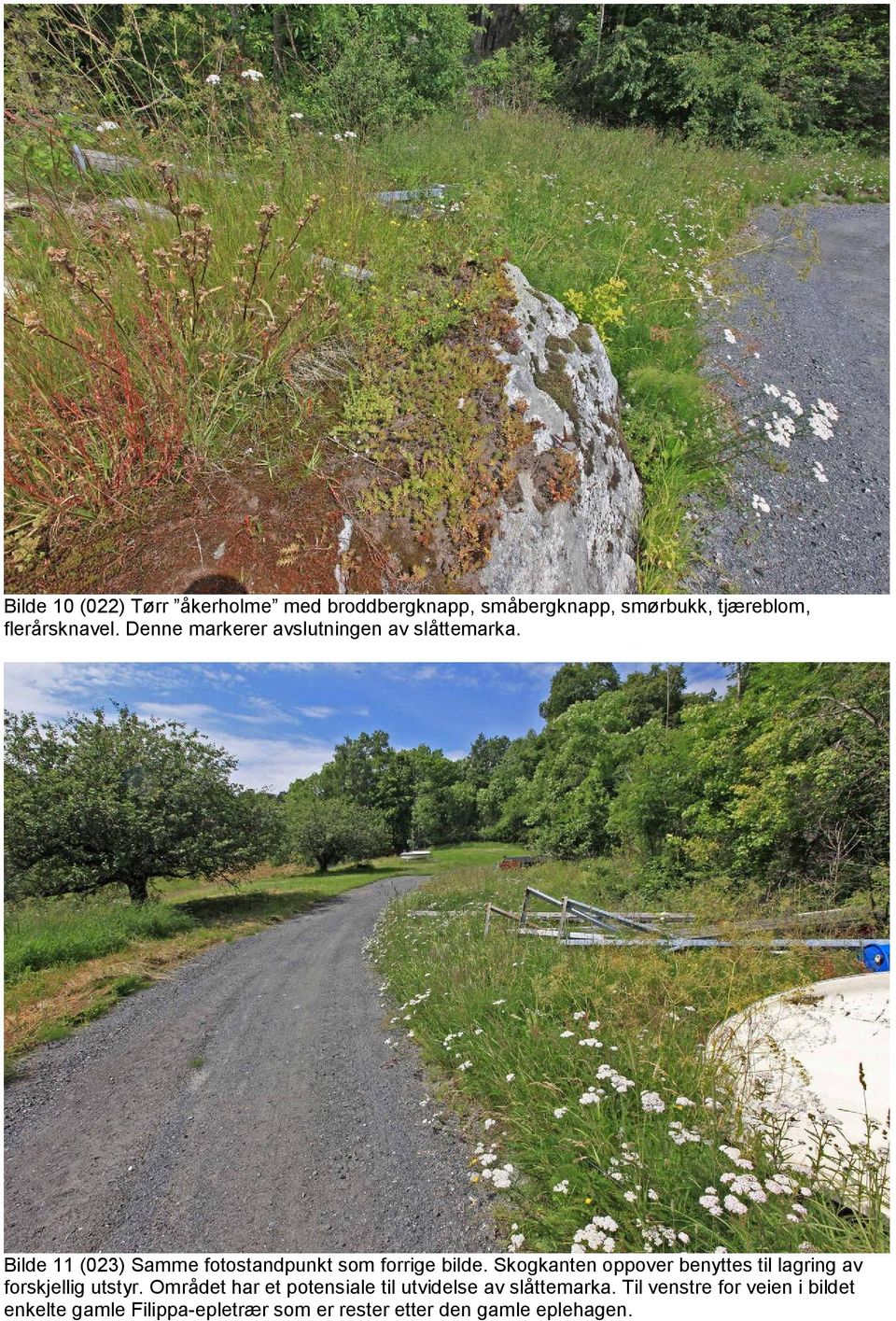 Skogkanten oppover benyttes til lagring av forskjellig utstyr.