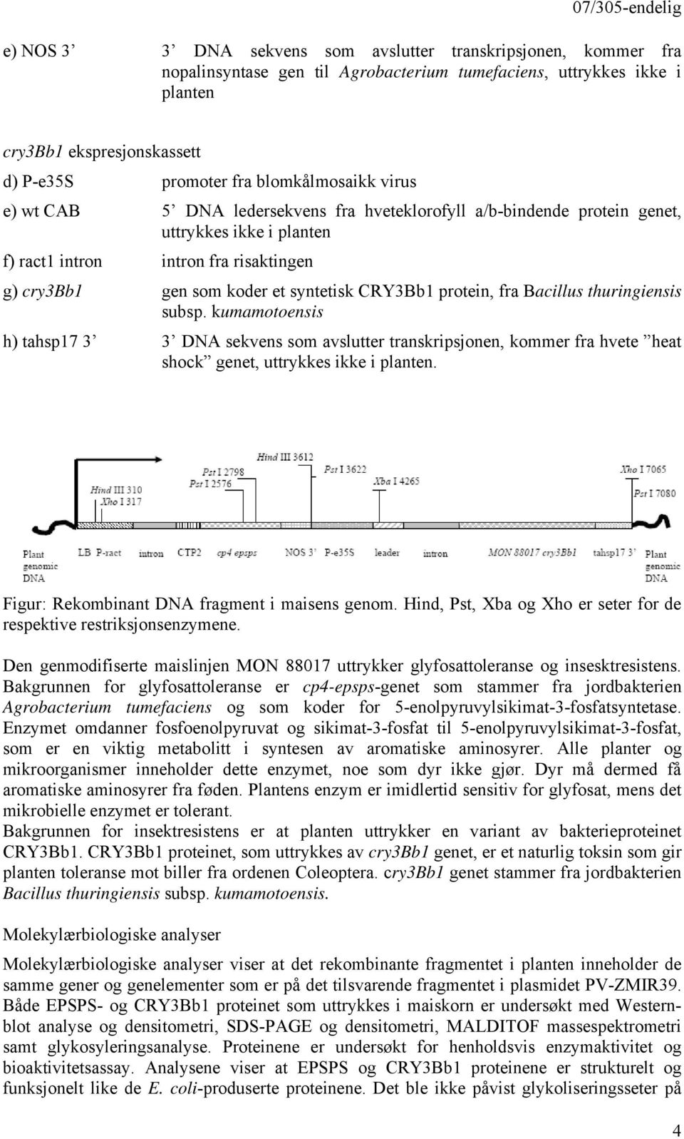 CRY3Bb1 protein, fra Bacillus thuringiensis subsp. kumamotoensis h) tahsp17 3 3 DNA sekvens som avslutter transkripsjonen, kommer fra hvete heat shock genet, uttrykkes ikke i planten.