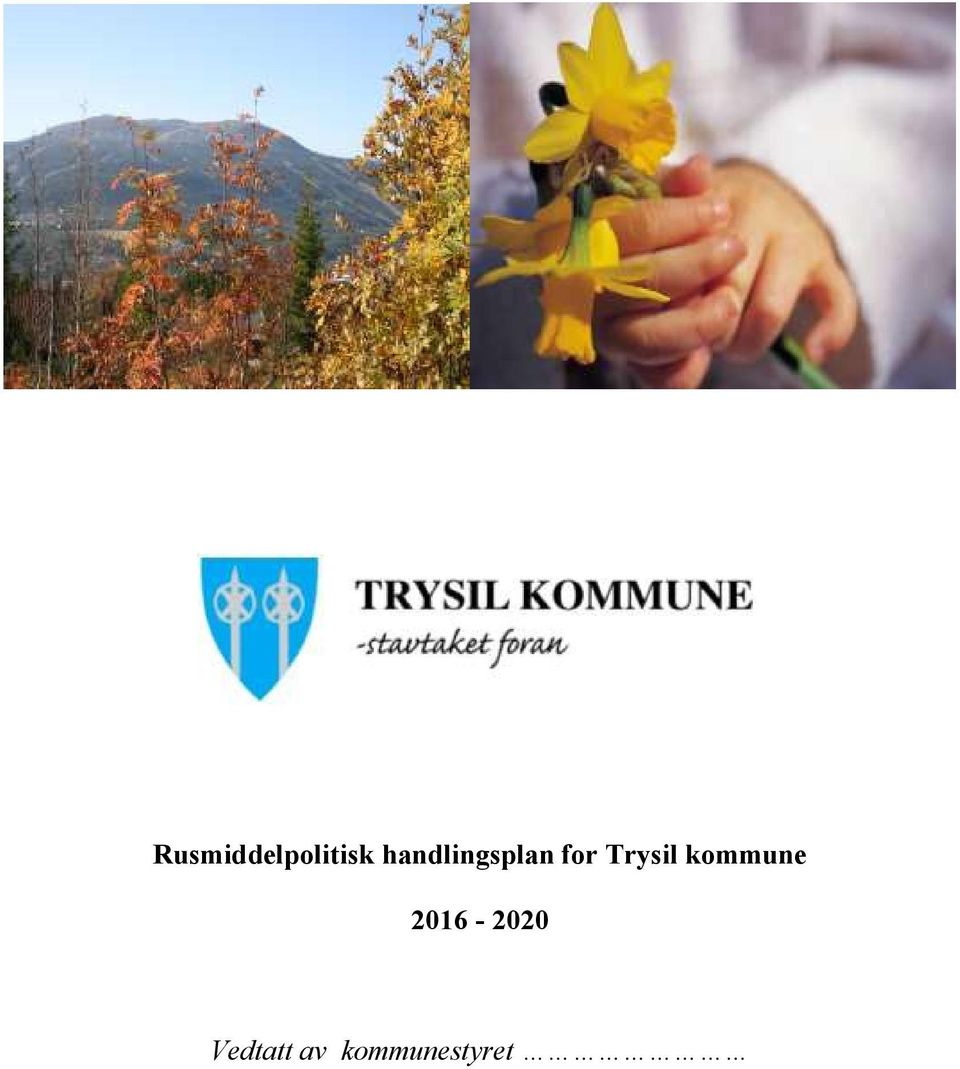 Trysil kommune